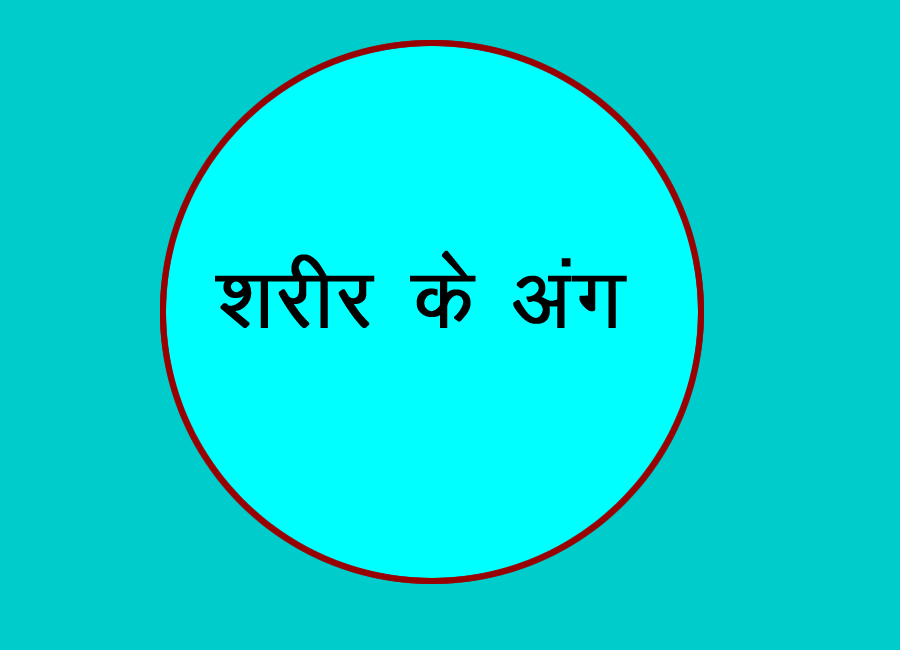 शरीर के अंग